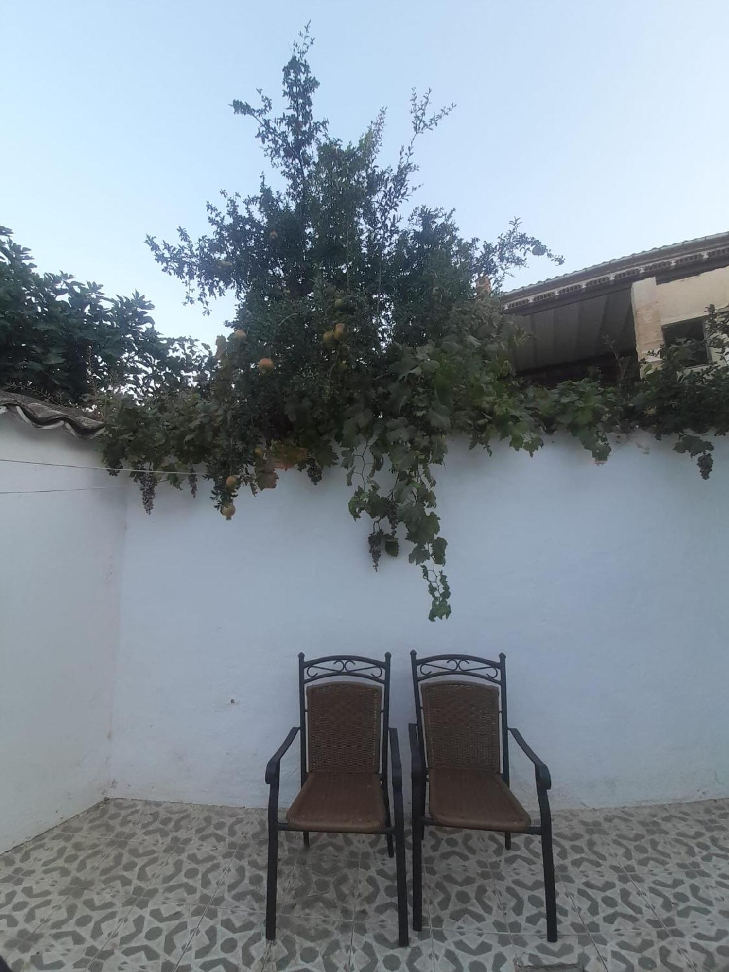 El Molino De Aceite *